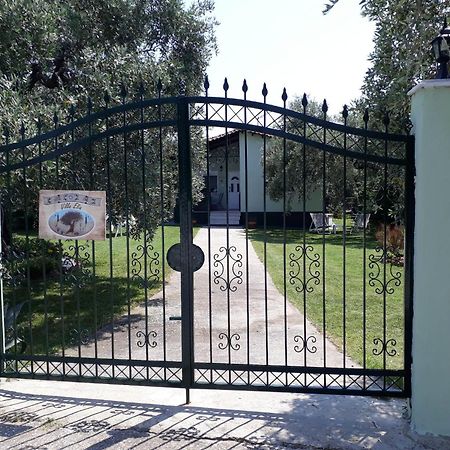 Villa Elia Skala Sotiros Bagian luar foto