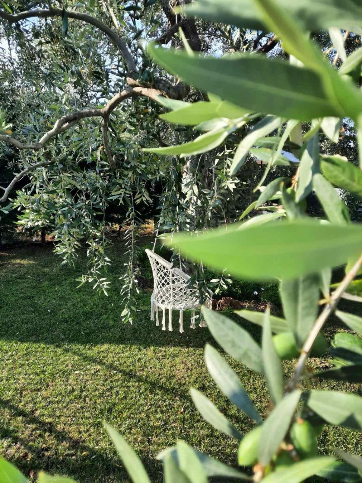 Villa Elia Skala Sotiros Bagian luar foto