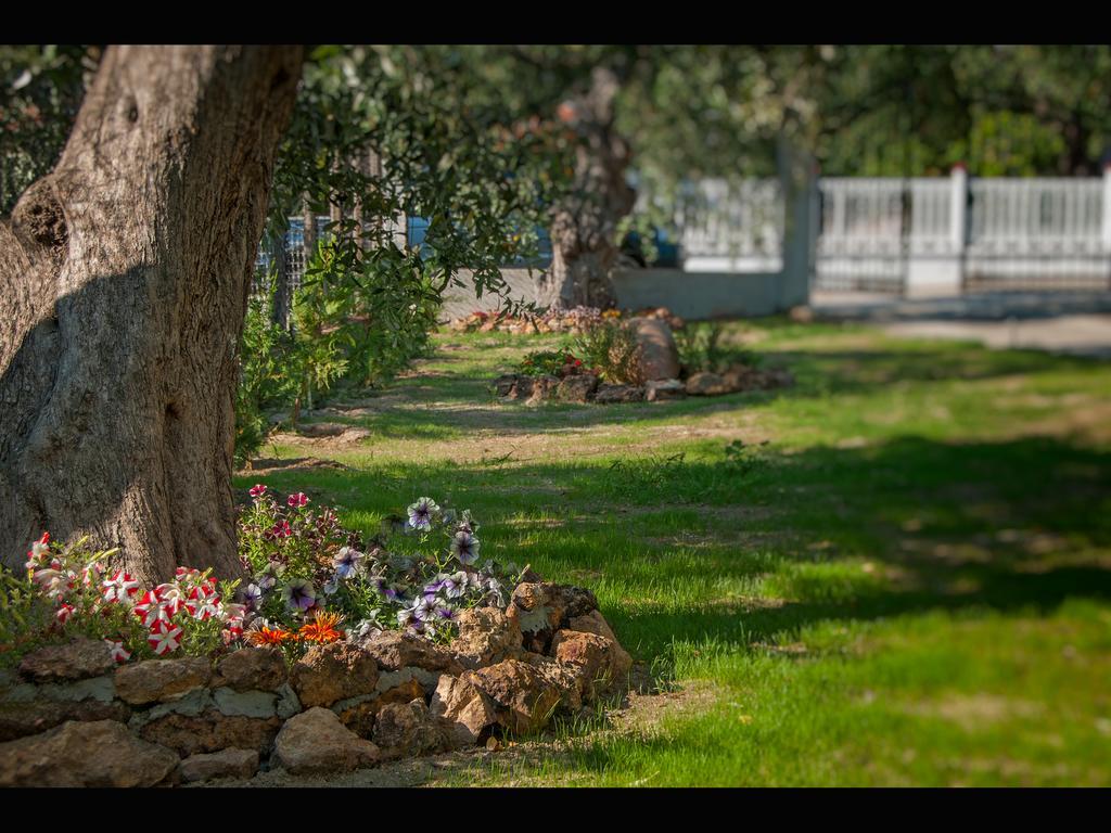 Villa Elia Skala Sotiros Bagian luar foto
