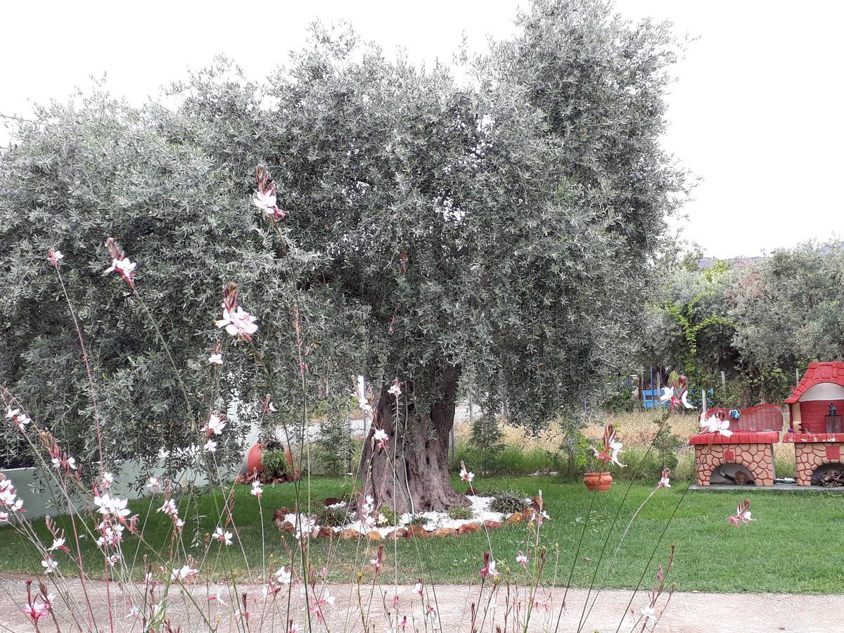 Villa Elia Skala Sotiros Bagian luar foto